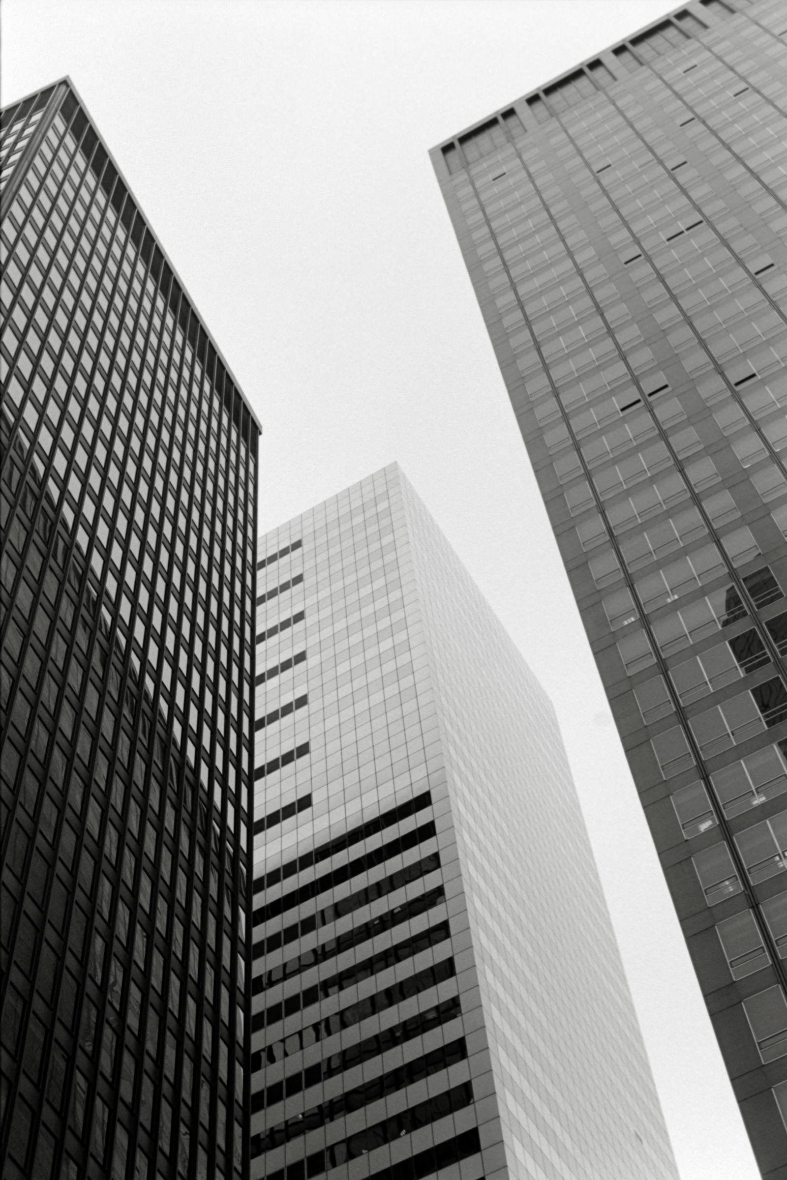 AHP F1995 04 003 sc240816 img24 NLP